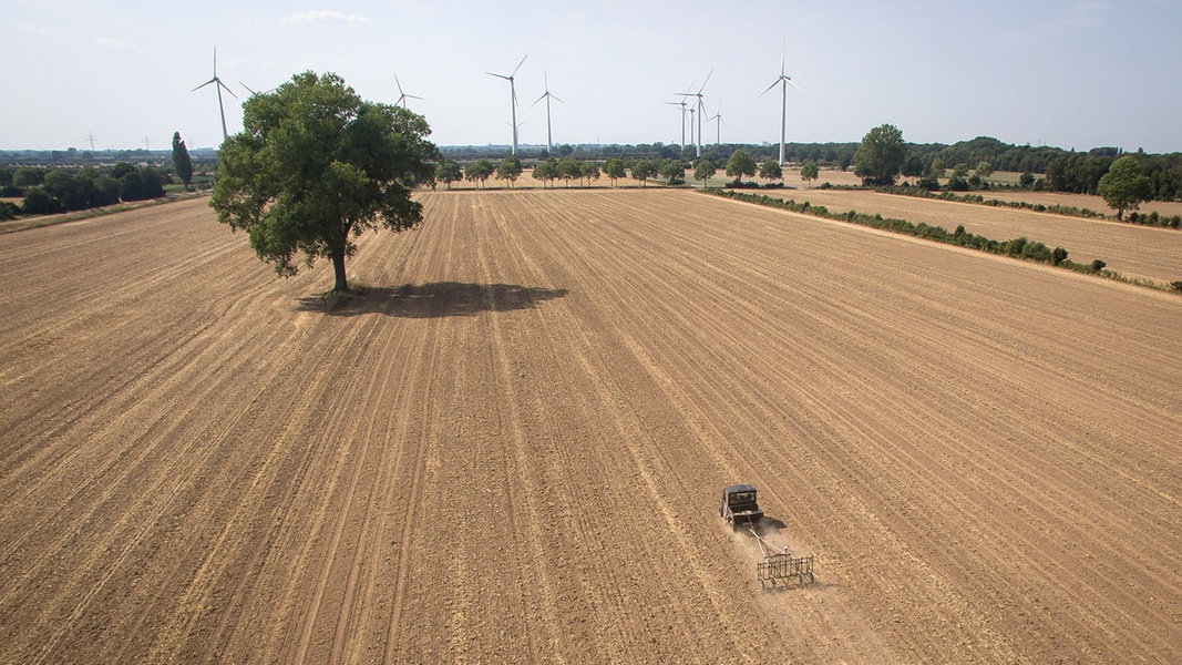 BUND Windbruchhecke Walsrode
